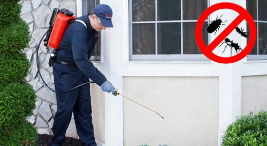 Kent 2 Böcek ve Haşere İlaçlama böcek ilaçlama ve haşere kontrolü — ilaclama-tr.com